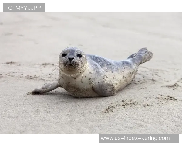 探索足球鲈的生态习性与保护现状,助力可持续渔业发展与水域生态平衡 探索足球鲈的生态习性与保护现状,助力可持续渔业发展与水域生态平衡